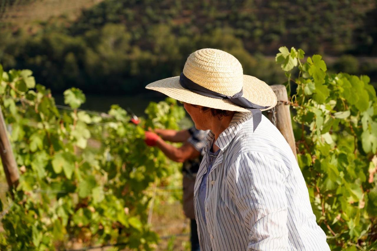 Quinta de S. Jose - Turismo Rural Ervedosa do Douro Exterior foto